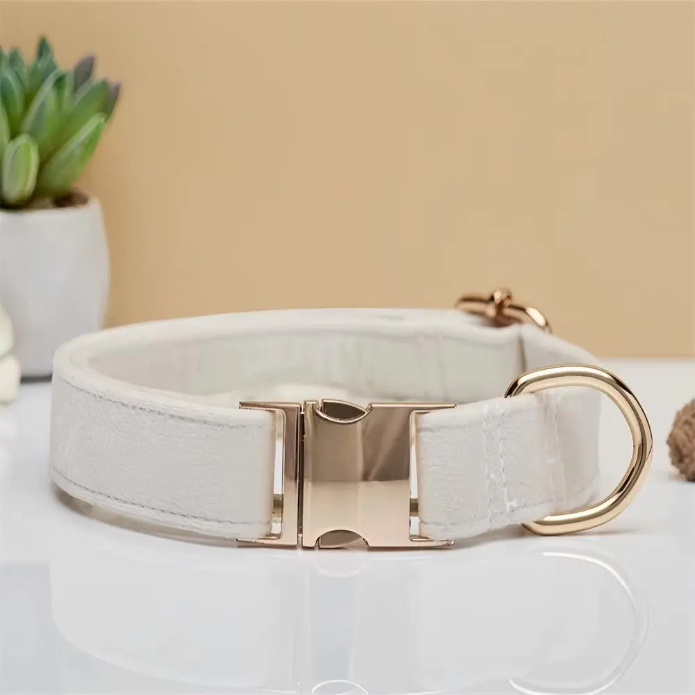Personalisiertes Samt Hundehalsband "Emilia" mit Gravur – Verstellbar & Elegant - Medikratz 