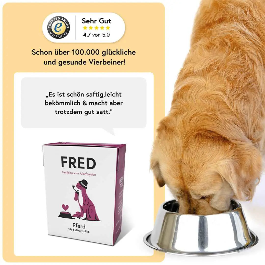 Pferd mit Süßkartoffeln FRED & FELIA