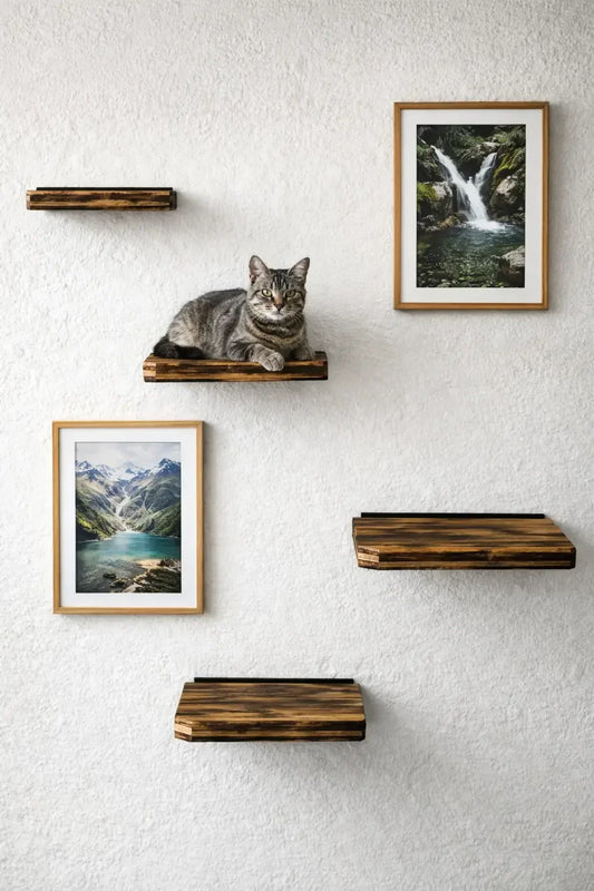 Eckpodest Natur - Medikratz 