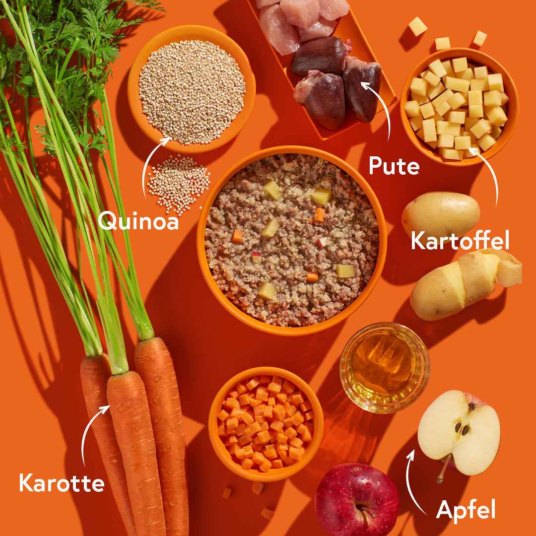 Pute mit Kartoffeln FRED & FELIA