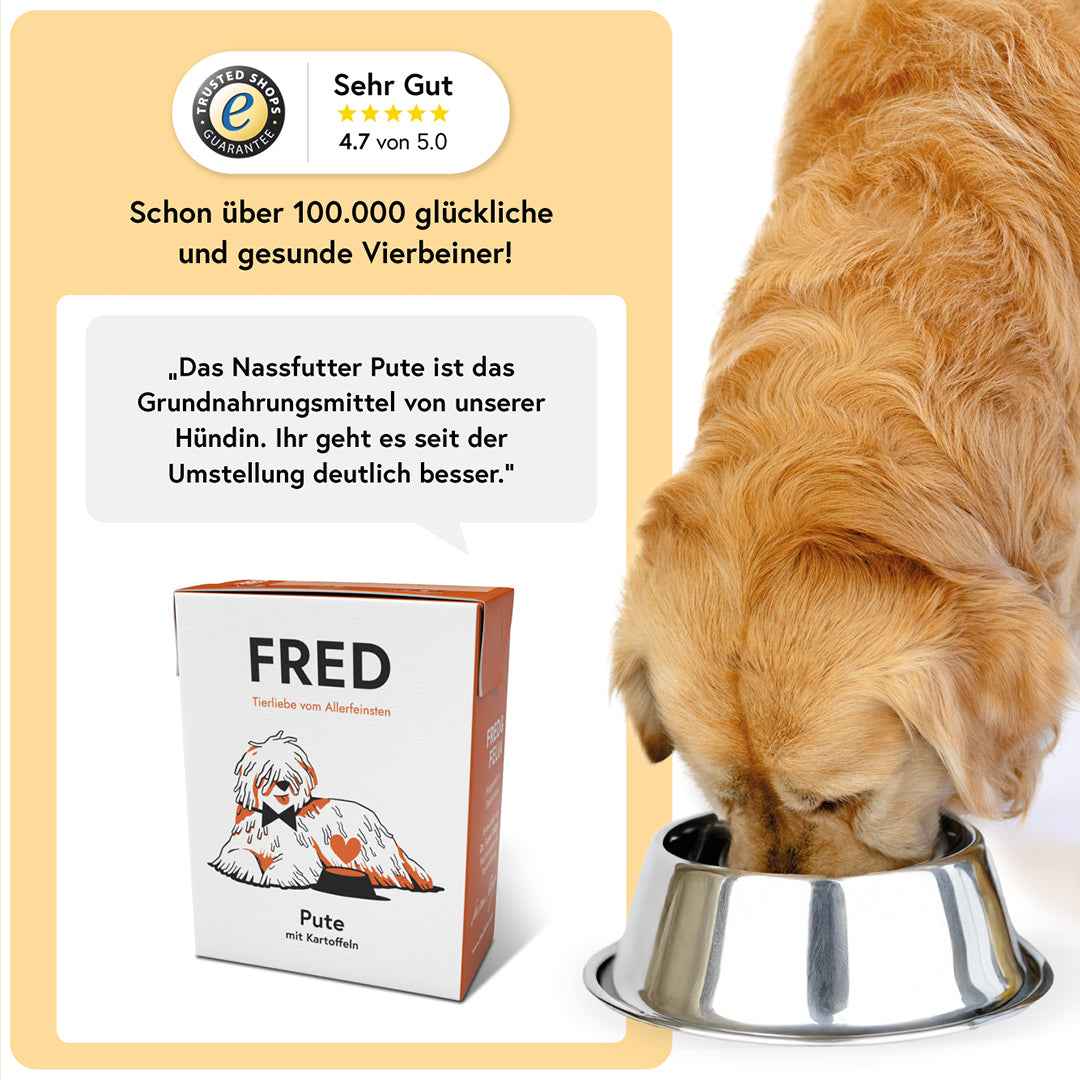 Pute mit Kartoffeln FRED & FELIA