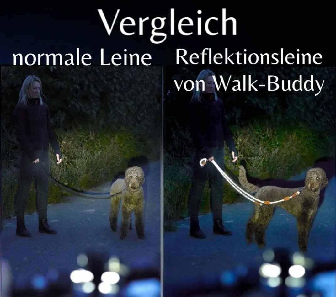 Reflektionsleine GLOW stark reflektierend längenverstellbar und vegan - Medikratz 