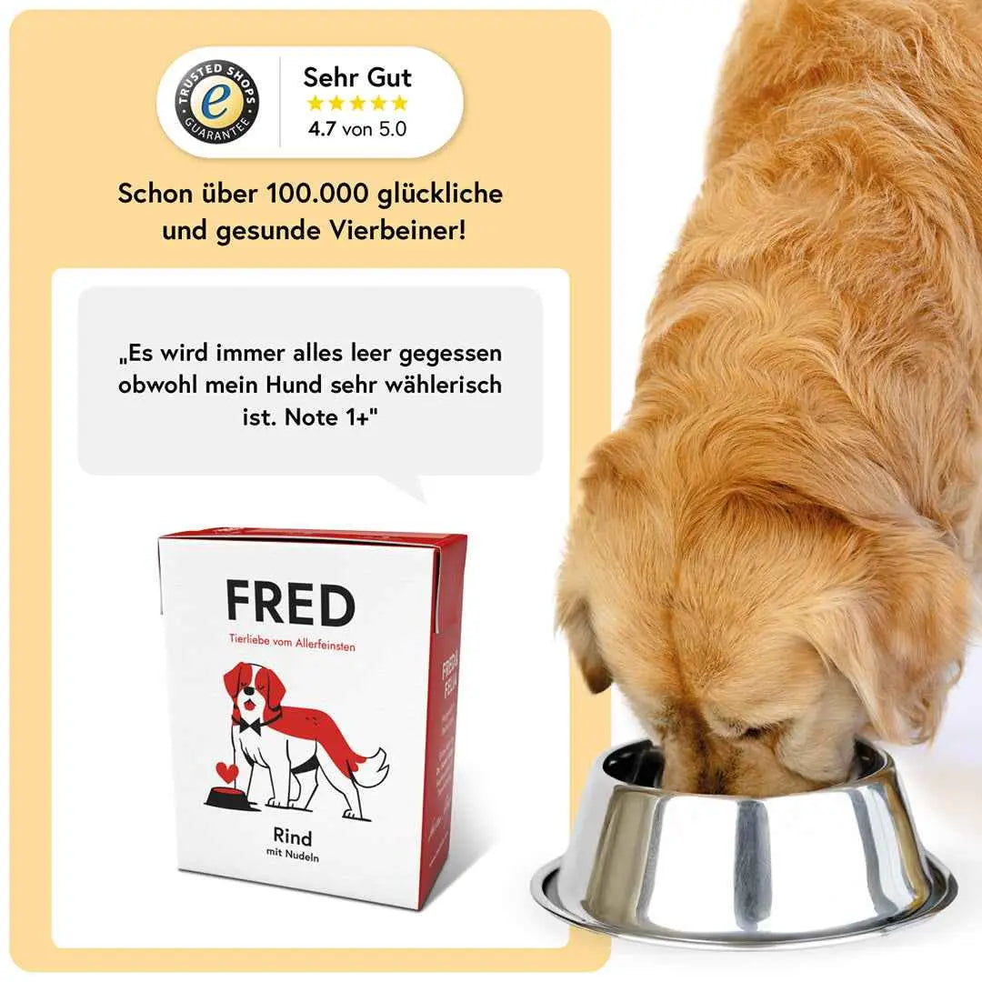Rind mit Nudeln FRED & FELIA