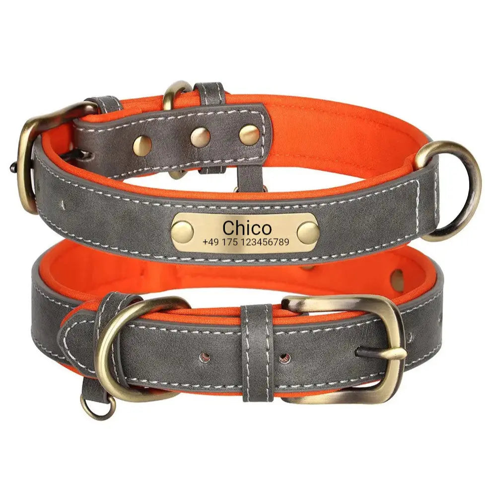 Schickes Hundehalsband mit Gravur, PU grau, Neopren Mesh innen orange, Ring für Hundemarken - Medikratz 