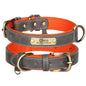 Schickes Hundehalsband mit Gravur, PU grau, Neopren Mesh innen orange, Ring für Hundemarken - Medikratz 