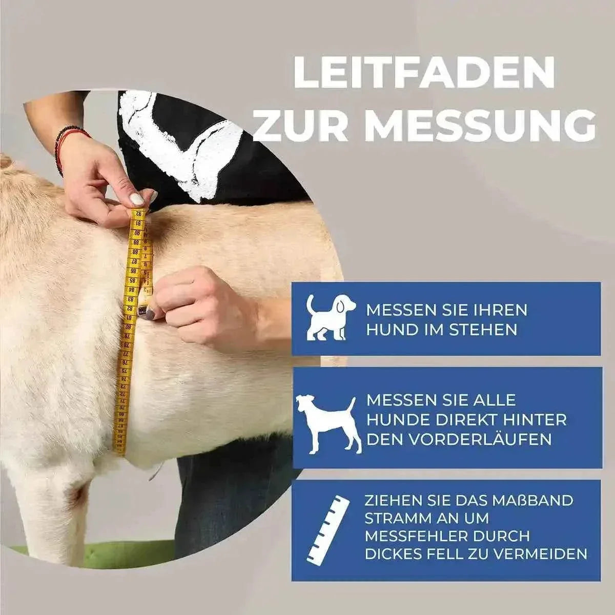 Schulter Abduktion Bandage für Hunde - Medikratz 
