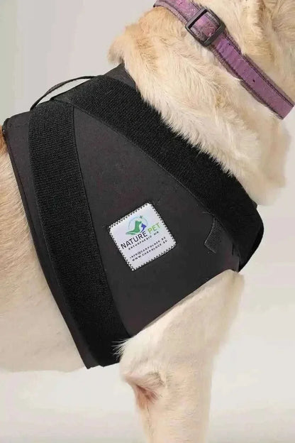 Schulter Abduktion Bandage für Hunde - Medikratz 