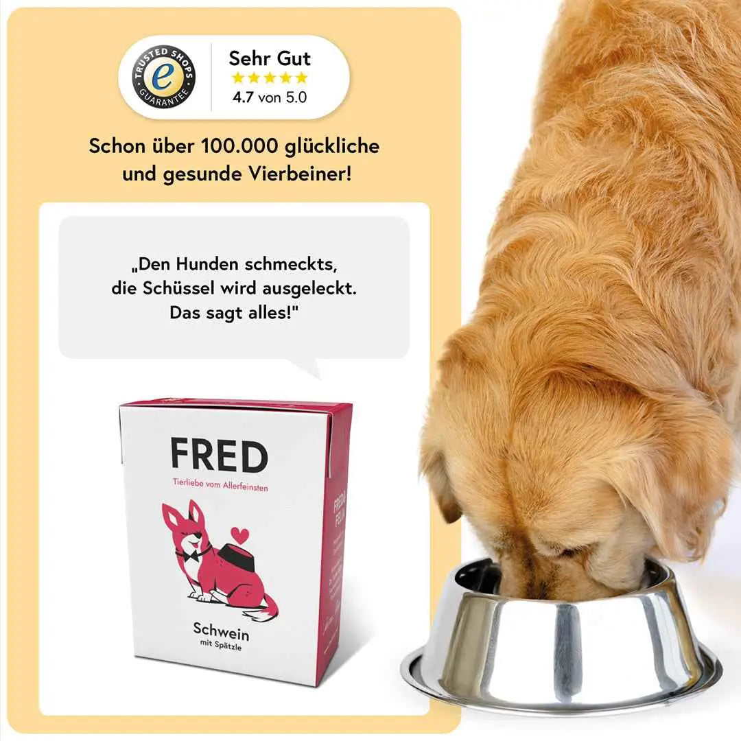 Schwein mit Spätzle FRED & FELIA