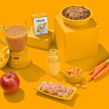 Smoothie Huhn FRED & FELIA