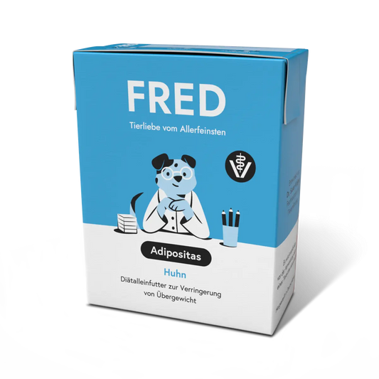 VET Adipositas FRED & FELIA