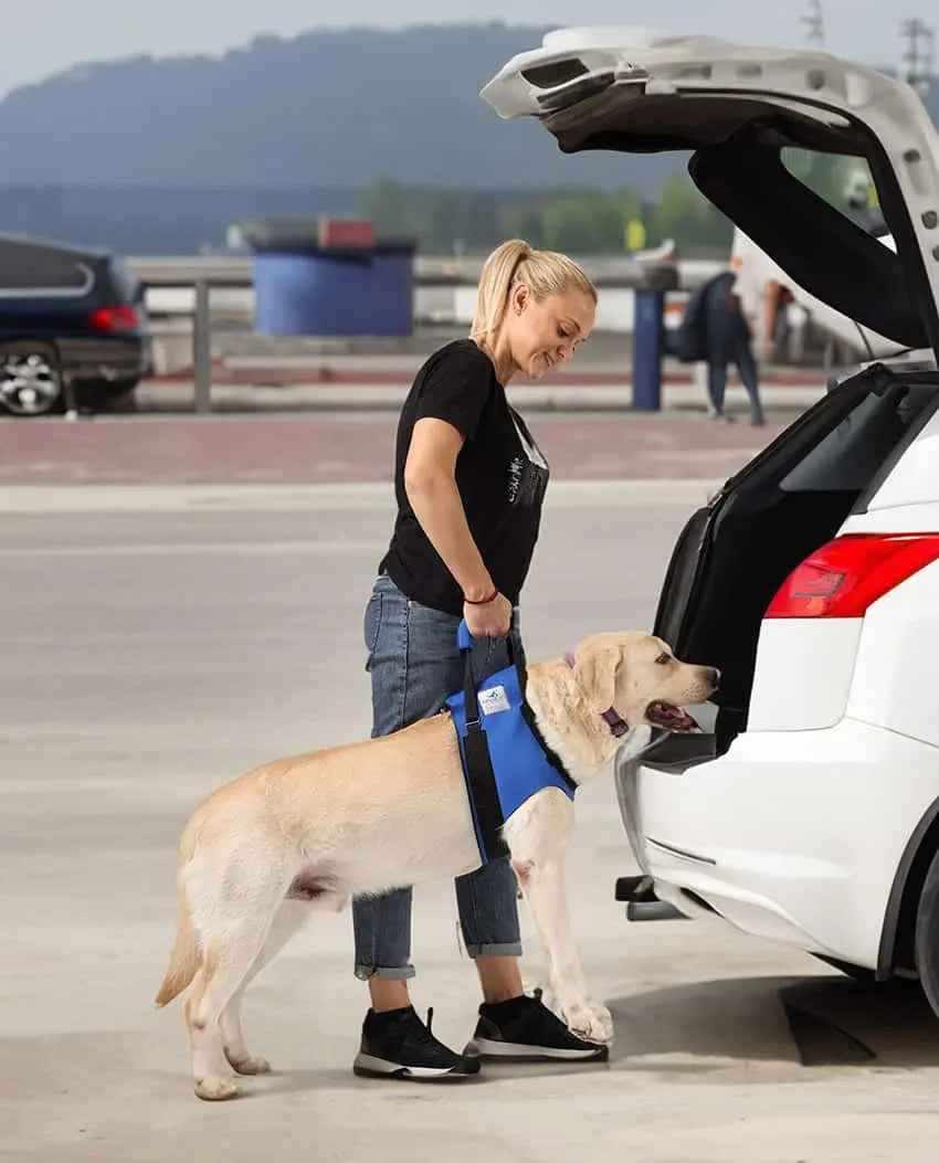 Vordere Tragehilfe für Hunde - Medikratz 