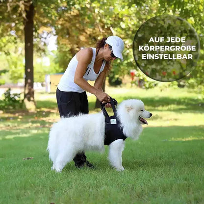 Vordere Tragehilfe für Hunde - Medikratz 