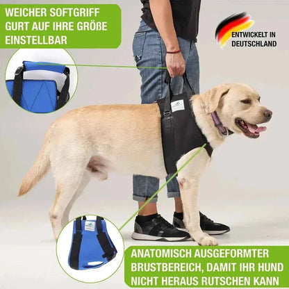 Vordere Tragehilfe für Hunde - Medikratz 