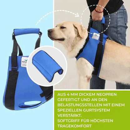 Vordere Tragehilfe für Hunde - Medikratz 
