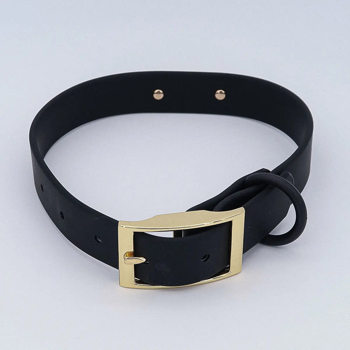 Wasserfestes Biothane Hundehalsband "Baxter" mit Gravur – Name & Telefonnummer – Outdoor – Grün oder Schwarz – S, M, L - Medikratz 