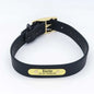 Wasserfestes Biothane Hundehalsband "Baxter" mit Gravur – Name & Telefonnummer – Outdoor – Grün oder Schwarz – S, M, L - Medikratz 