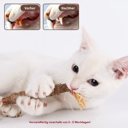 ZAHNLIEBE - Die Katzen Zahnpflege für gesunde Zähne - Medikratz 