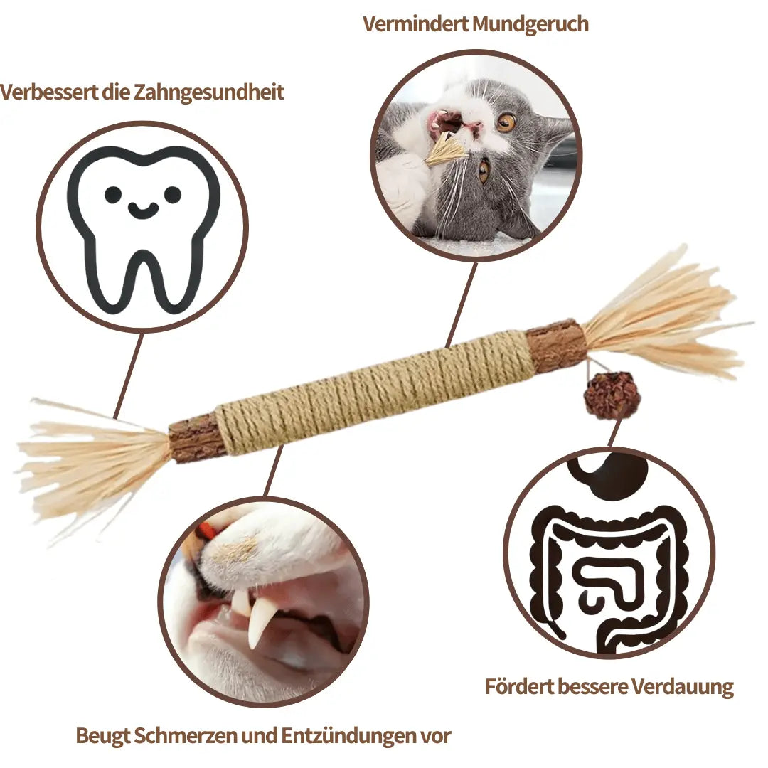 ZAHNLIEBE - Die Katzen Zahnpflege für gesunde Zähne - Medikratz 