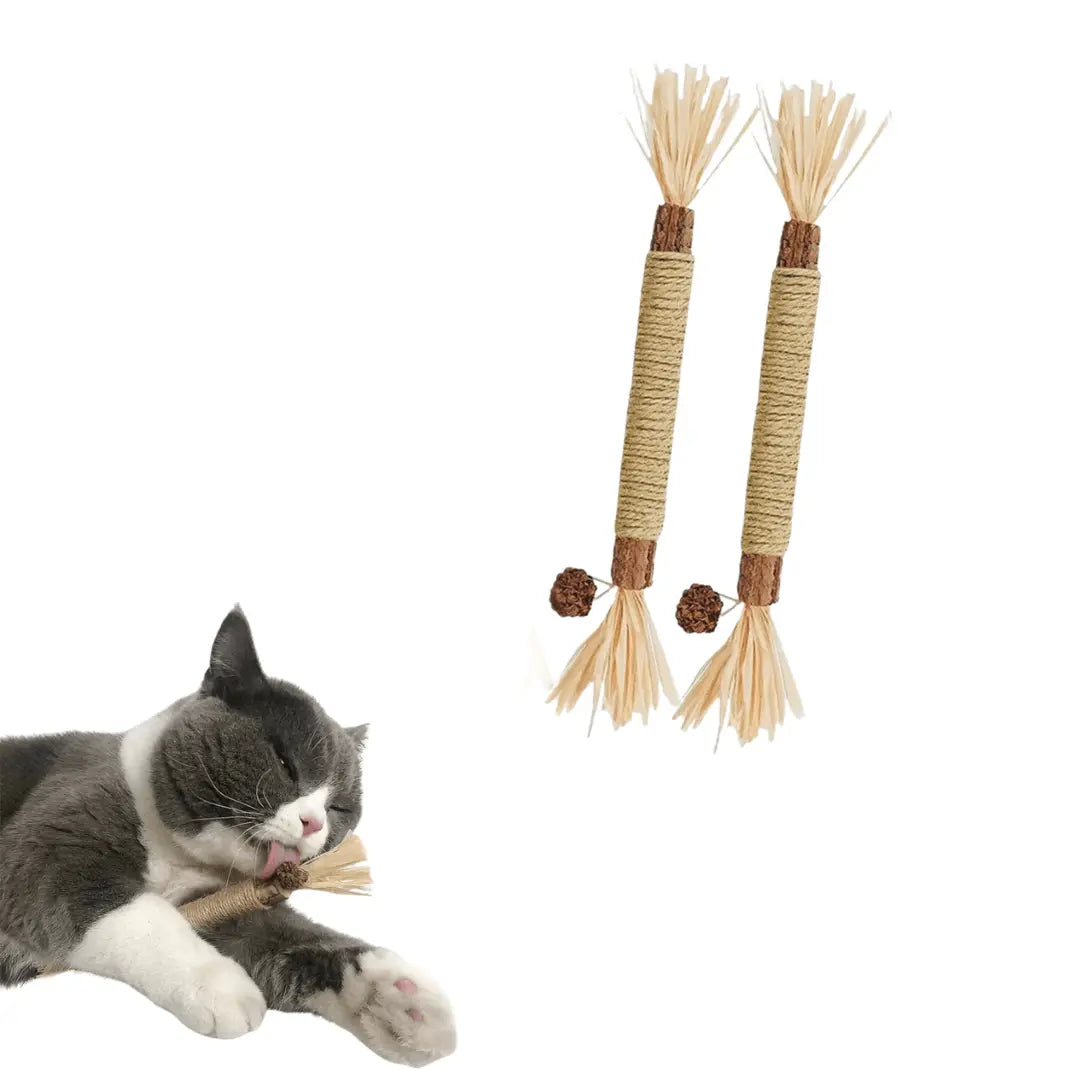 ZAHNLIEBE - Die Katzen Zahnpflege für gesunde Zähne - Medikratz 